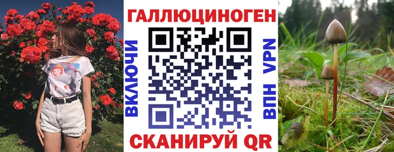 Галлюциногенные грибы Psilocybe  Волжский 