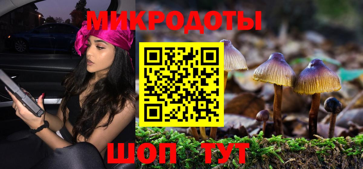 Галлюциногенные грибы Psilocybine cubensis  Вход с VPN  Галлюциногенные грибы мухоморы  Волжский 